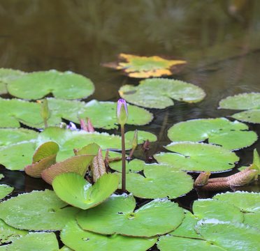 问鼎娱乐电子通道注册流程